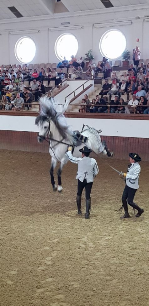 Jerez, Real Escuela Andaluza del Arte Ecuestre