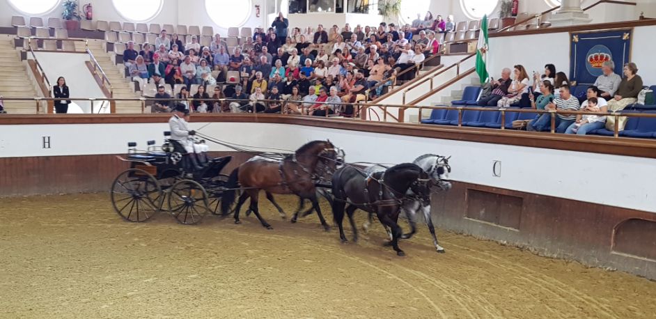 Jerez, Real Escuela Andaluza del Arte Ecuestre
