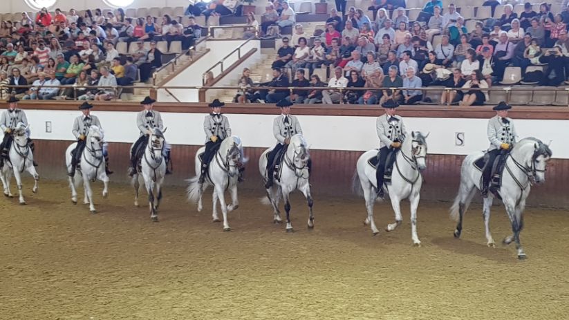 Jerez, Real Escuela Andaluza del Arte Ecuestre