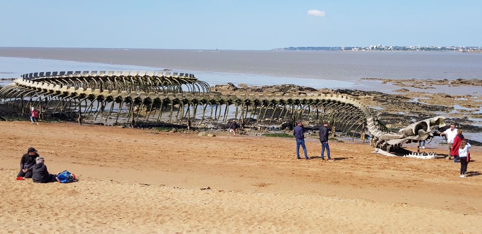 Bretagne, Saint-Nazaire, Le Serpent d'Océan