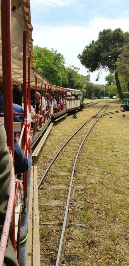 Bretagne, Ile d'Oléron, 'Le p'tit train de Saint-Trojan-les-Bains'