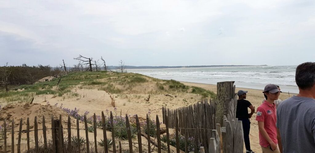 Bretagne, Ile d'Oléron, 'Le p'tit train de Saint-Trojan-les-Bains' naar het strand