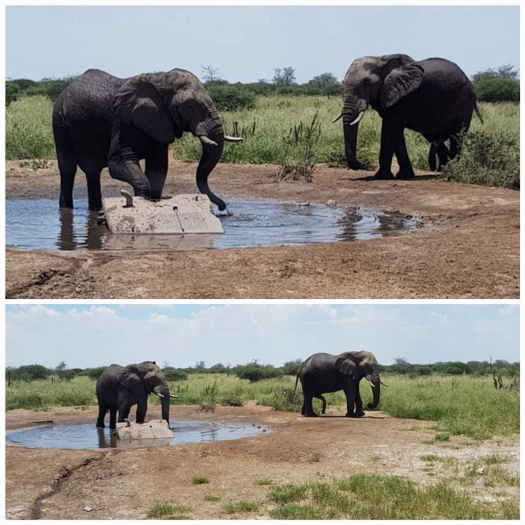 Botswana, onderweg